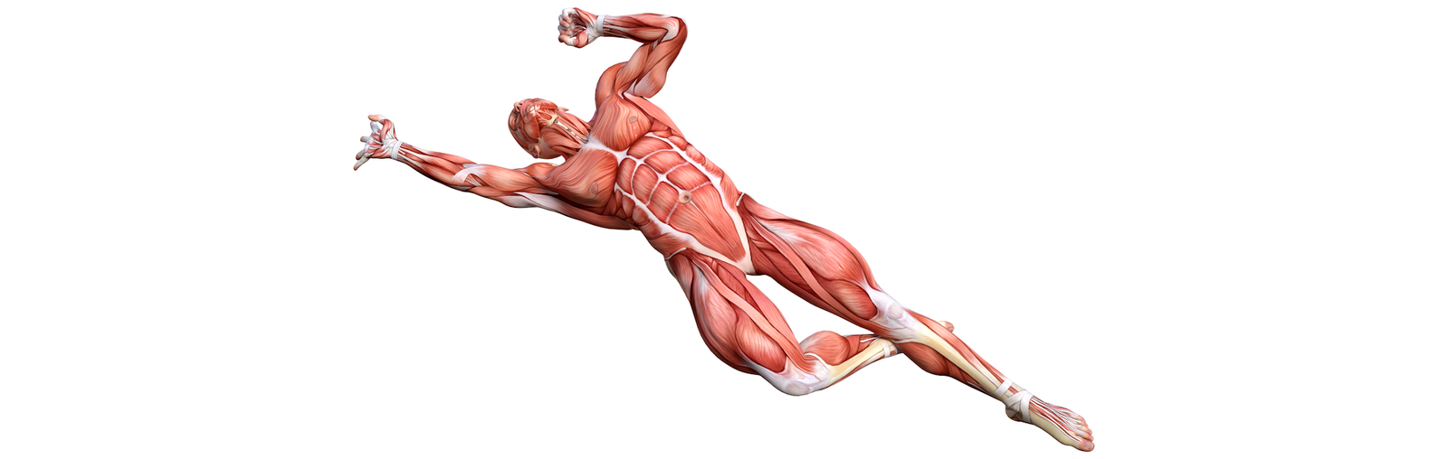 Sports & Remedial Massage