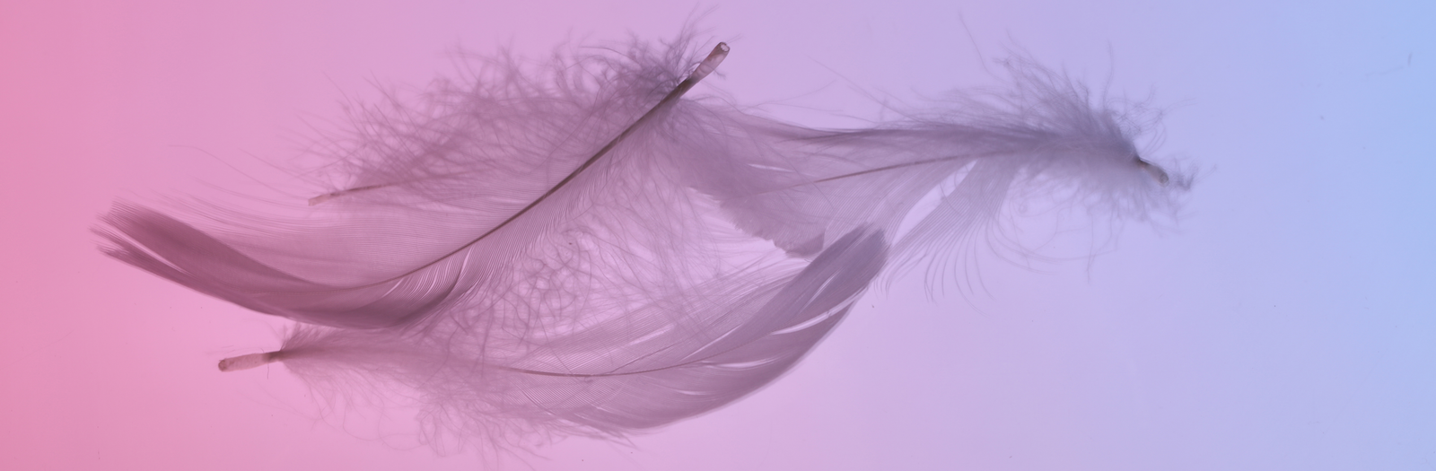 Feather1920 Pure ASMR