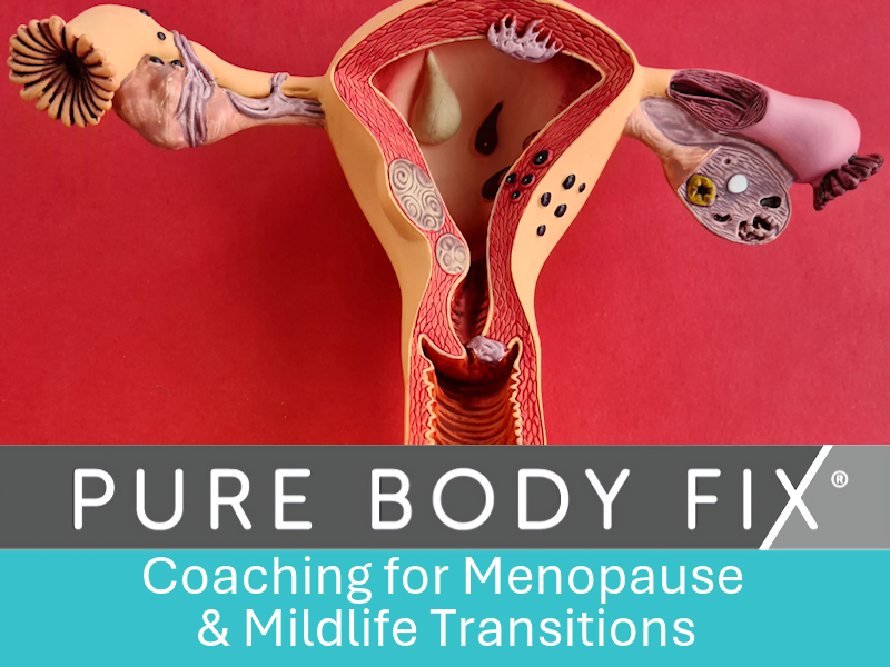 Menopause Caoching